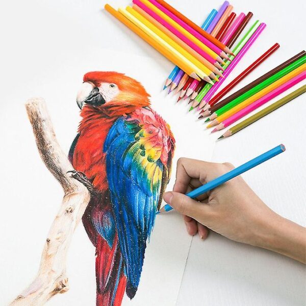 Color Pencils